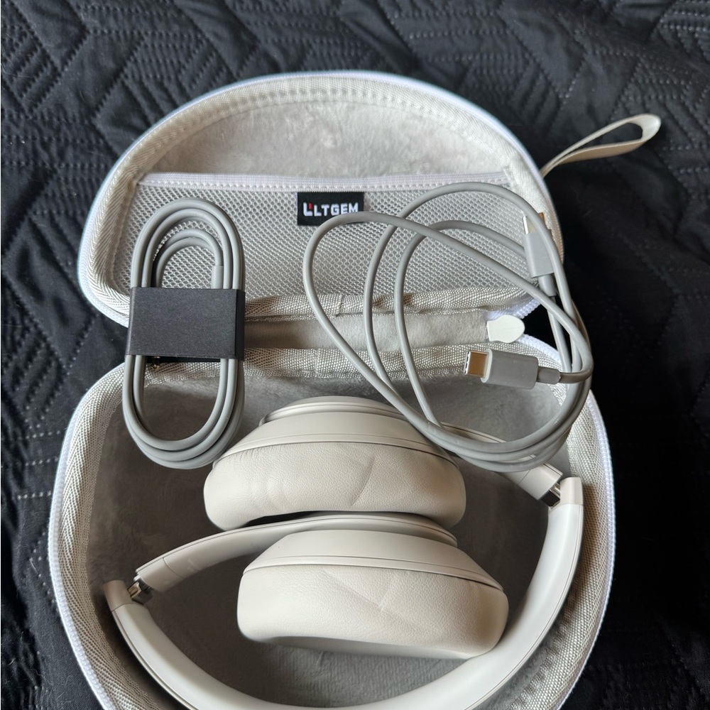 Beats Gray Headphones with Case